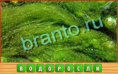 Одноклассники Потерянные слова ответы Уровень 349