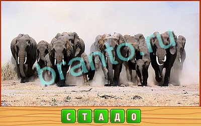 Потерянные слова решения Уровень 353