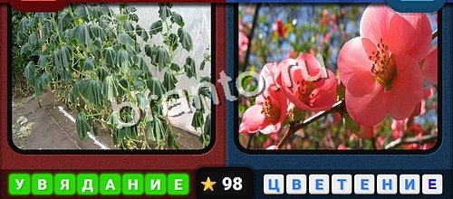 Одноклассники Противоположности ответы Уровень 98