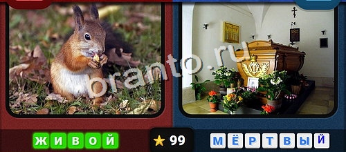 Противоположности подсказки в контакте Уровень 99