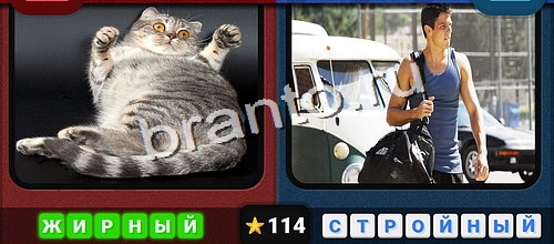 Противоположности игра ответы Одноклассники Уровень 114