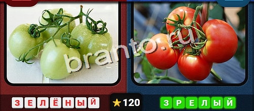 Противоположности игра ответы Одноклассники Уровень 120