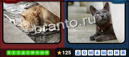 ответы к игре Противоположности Уровень 125