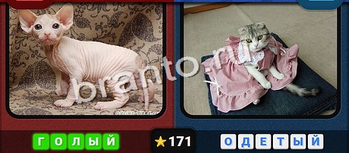 решебник на игру Противоположности Уровень 171