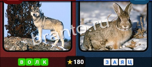 Противоположности игра ответы Одноклассники Уровень 180