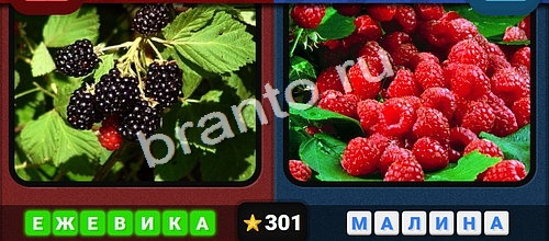 ответы на игру Противоположности в одноклассниках Уровень 301