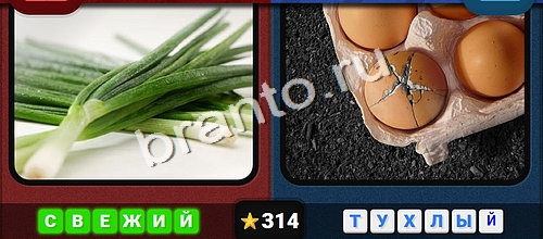 Противоположности игра подсказки Уровень 314