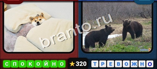 прохождение игры Противоположности Уровень 320