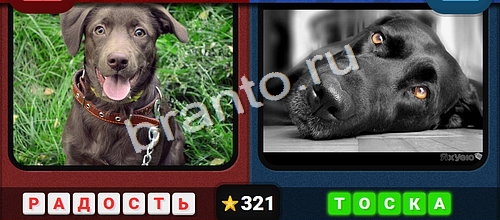 решебник на игру Противоположности Уровень 321