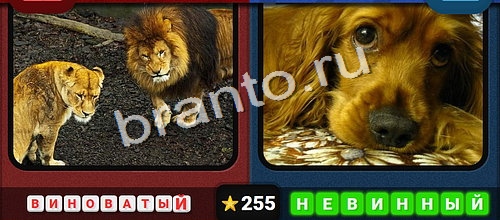 Противоположности игра в одноклассниках помощь Уровень 255