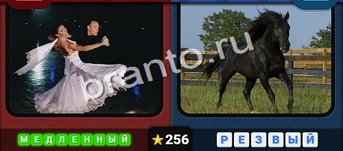 Противоположности ответы в картинках в контакте Уровень 256