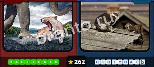 Противоположности игра ответы Одноклассники Уровень 262