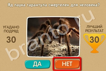 решебник на игру Проверь себя Уровень 81