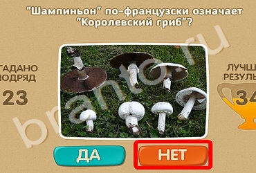 игра Проверь себя помощь Уровень 109