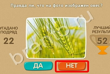 Подсказки на игру Проверь себя Уровень 1502