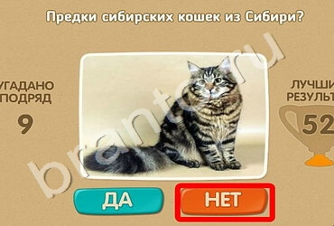 Проверь себя решения Уровень 1522