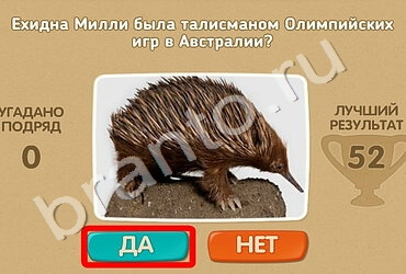 Проверь себя игра ответы Уровень 1523