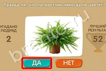 Проверь себя игра помощь Уровень 1525