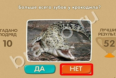 ответы на игру Проверь себя в одноклассниках Уровень 1561