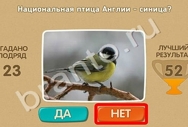 Проверь себя игра подсказки Уровень 1574