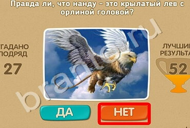 Игра Проверь себя подсказки Уровень 1578