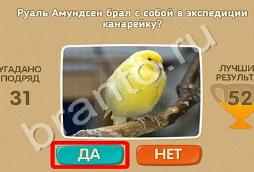 Проверь себя решения Уровень 1582