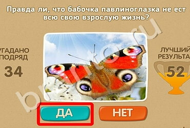 Проверь себя игра помощь Уровень 1585