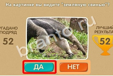 Проверь себя игра ответы Уровень 1603