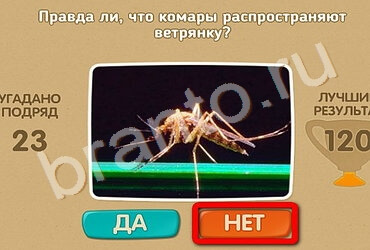 ответы на игру Проверь себя в одноклассниках Уровень 1651