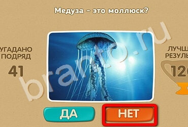 игра Проверь себя помощь Уровень 1669