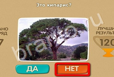 Проверь себя игра помощь Уровень 1675