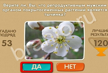 ответы на игру Проверь себя в одноклассниках Уровень 1681