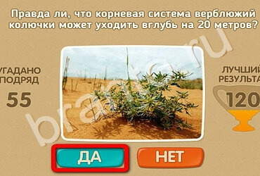 Решения на игру Проверь себя Уровень 1683