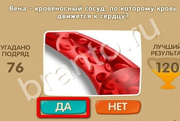 Проверь себя игра подсказки Уровень 1704