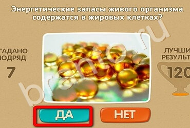 игра Проверь себя ответ на Уровень 1720