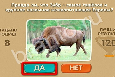 решебник на игру Проверь себя Уровень 1721