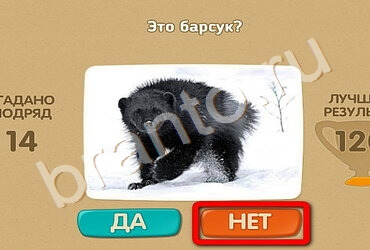 Игра Проверь себя ответы Уровень 1727