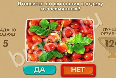 ответы на игру в одноклассниках Проверь себя Уровень 1896