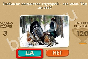 игра Проверь себя ответ на Уровень 1900