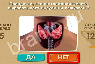 Проверь себя решения Уровень 1902