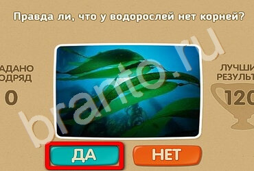 Проверь себя игра подсказки Уровень 1904