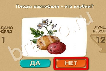 Проверь себя игра помощь Уровень 1905