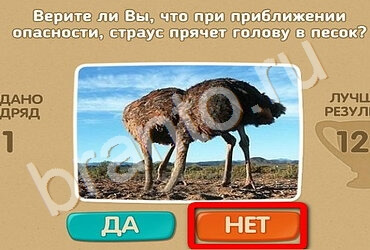 Проверь себя игра ответы Уровень 1913