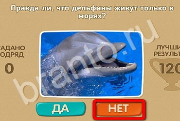 Проверь себя игра подсказки Уровень 1914