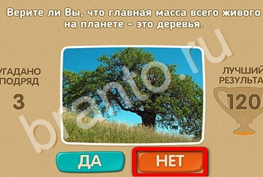 Игра Проверь себя ответы Уровень 1917