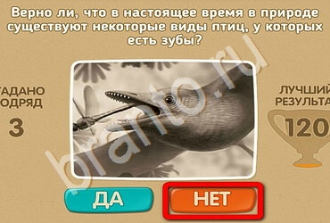 Проверь себя ответы в картинках Уровень 1946