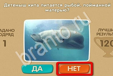 Проверь себя подсказки одноклассники Уровень 2019