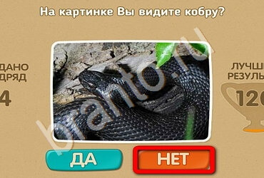 Проверь себя решения Уровень 2022