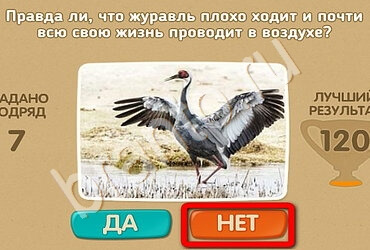 Проверь себя игра помощь Уровень 2025