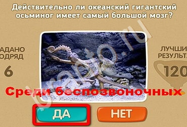 игра Проверь себя помощь Уровень 2039